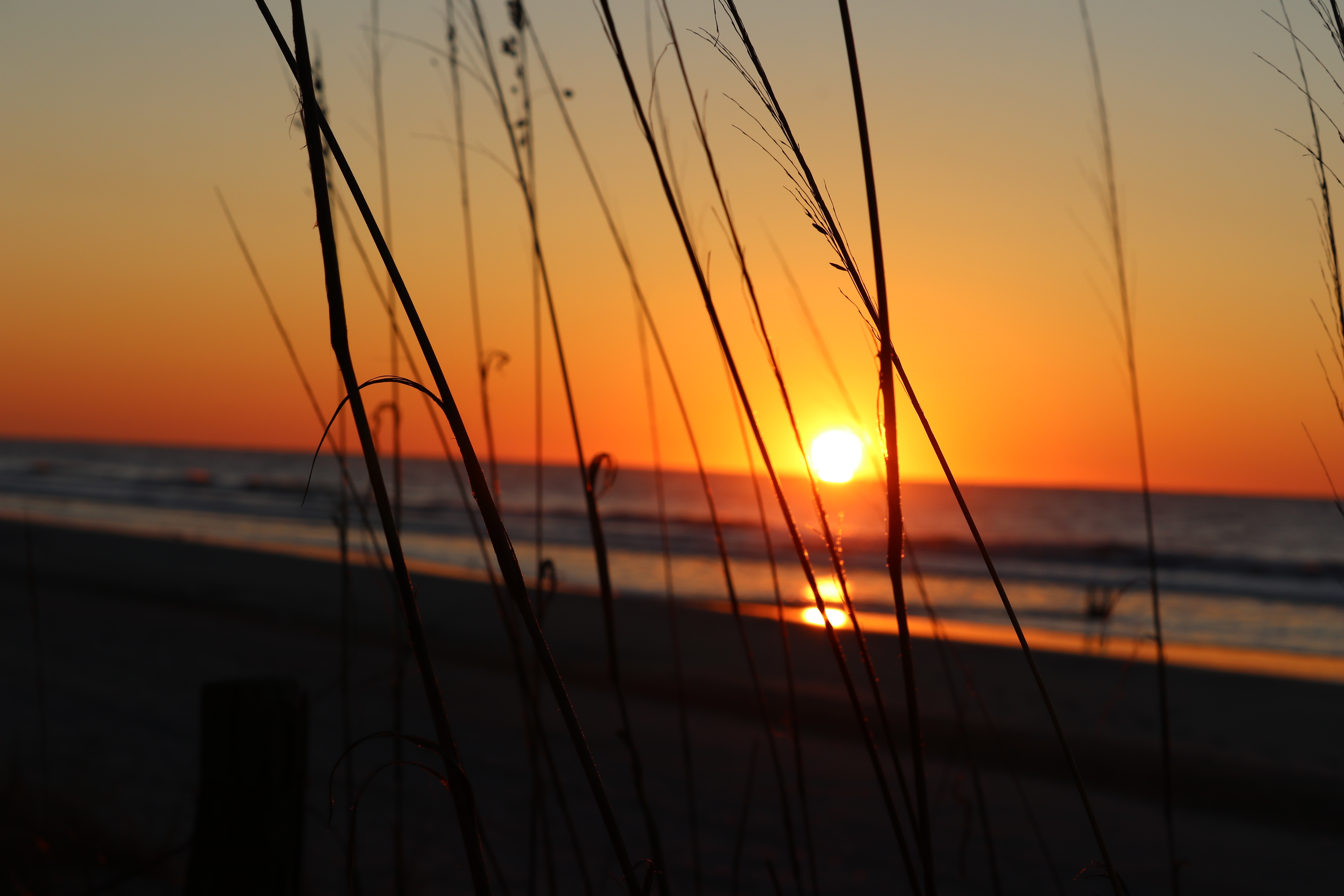 Beach and Softball